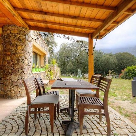 Studio avec jardin amenage et wifi a Moltifao Exterior foto