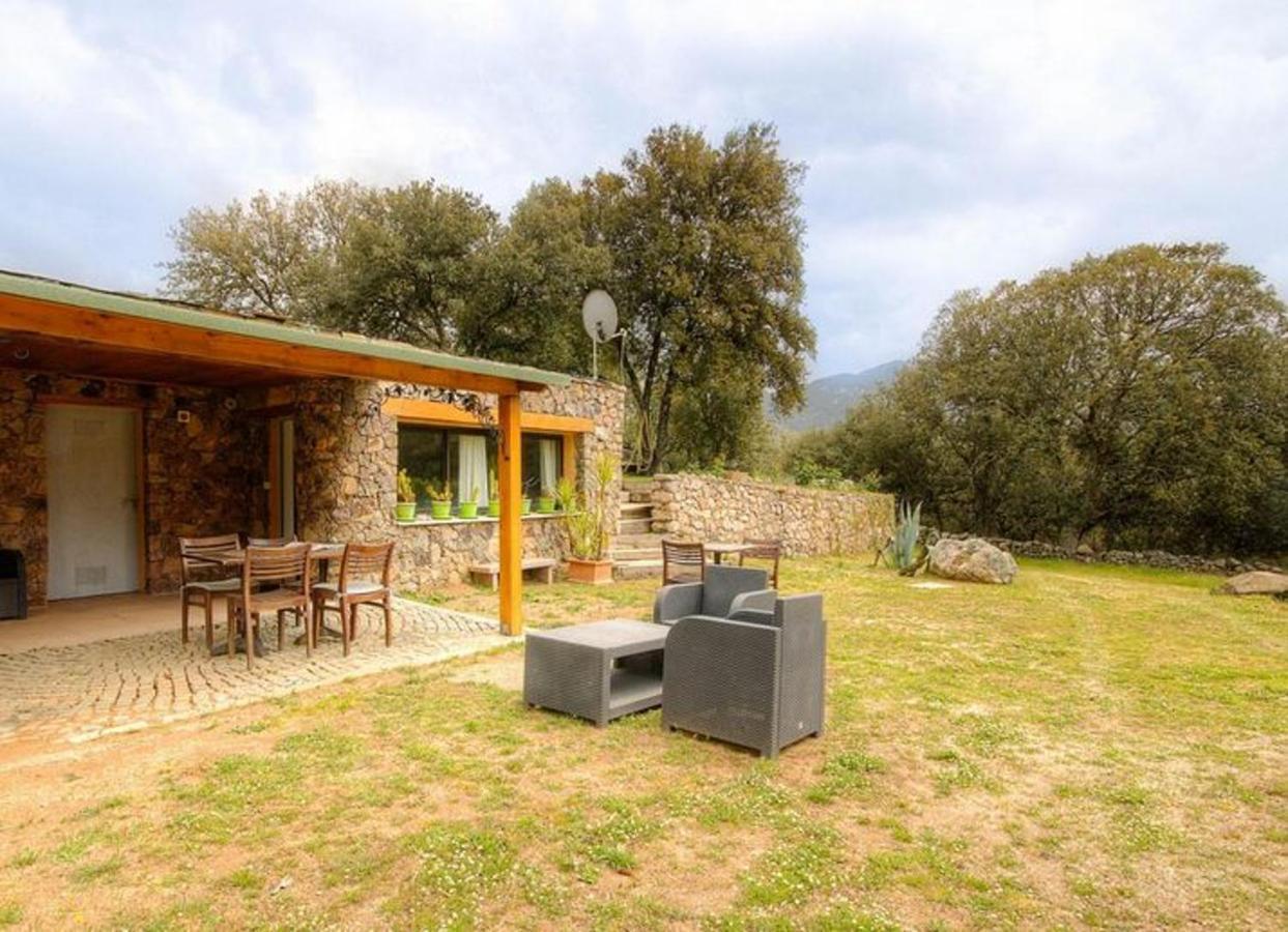 Studio avec jardin amenage et wifi a Moltifao Exterior foto